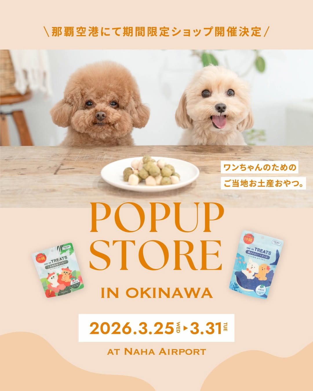 インスタグラム投稿