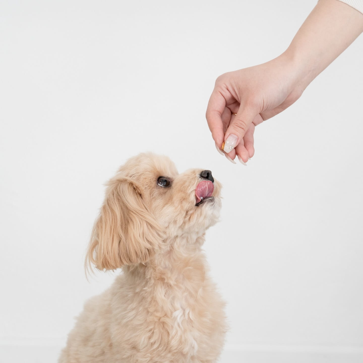 インスタグラム投稿